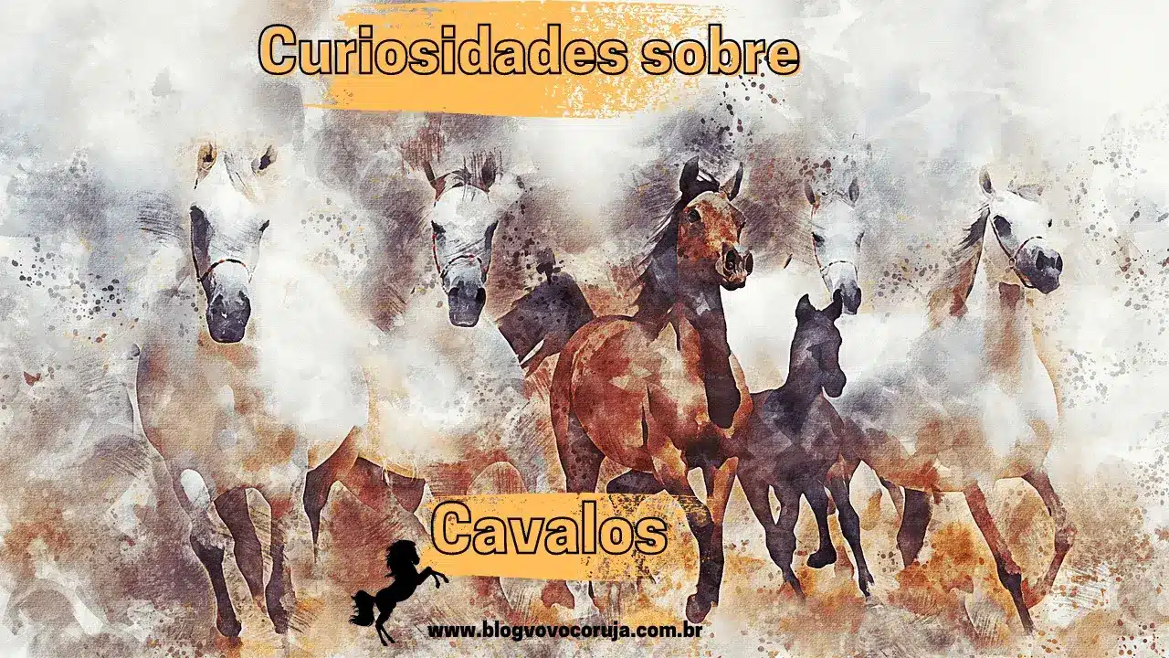 curiosidades-sobre-cavalos