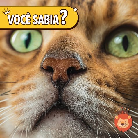 Blog Rei dos Animais - Impressão Digital dos Pets